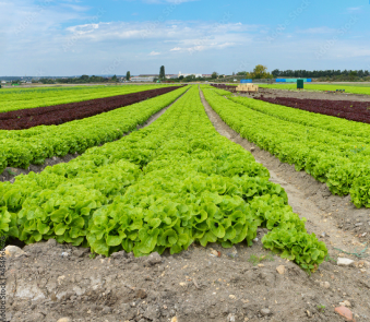 Formation agricoles 2 Capture decran 2025 07 10 100712