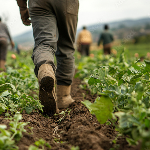 Formation agricoles 1 Xpert agro7 1