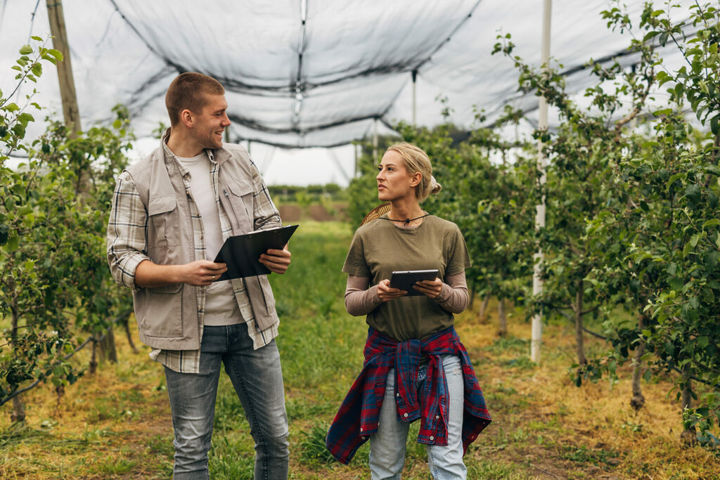 Agriculteur et expert agronome observant la croissance du verger.